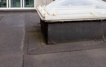 disadvantages of Potter Hill flat roofs