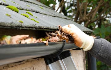 gutter cleaning Potter Hill